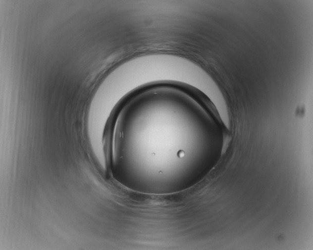 X0000112900260200909181942