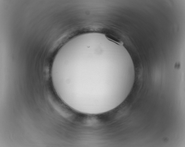 X0000112900262200909181942