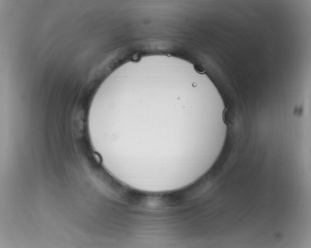 X0000112900264200909181942