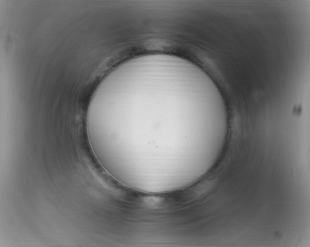 X0000112900265200909181942