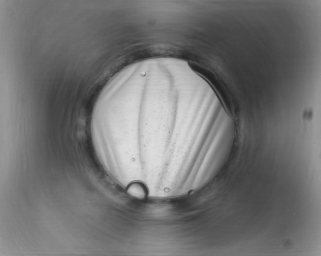 X0000112900266200909181942