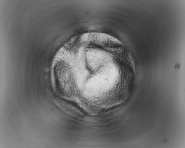 X0000112900269200909181942