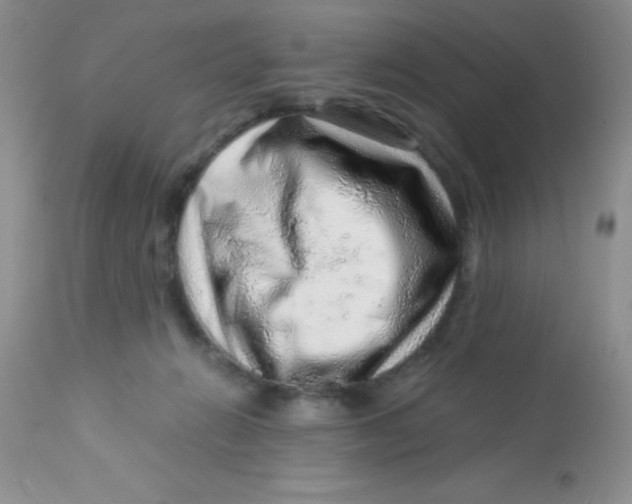 X0000112900270200909181942