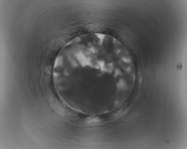 X0000112900271200909181942