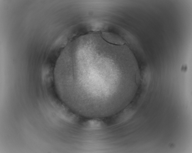 X0000112900272200909181942