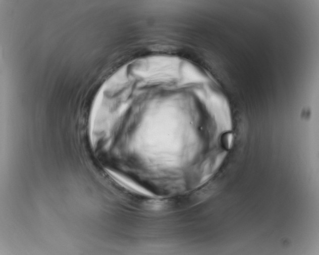 X0000112900273200909181942