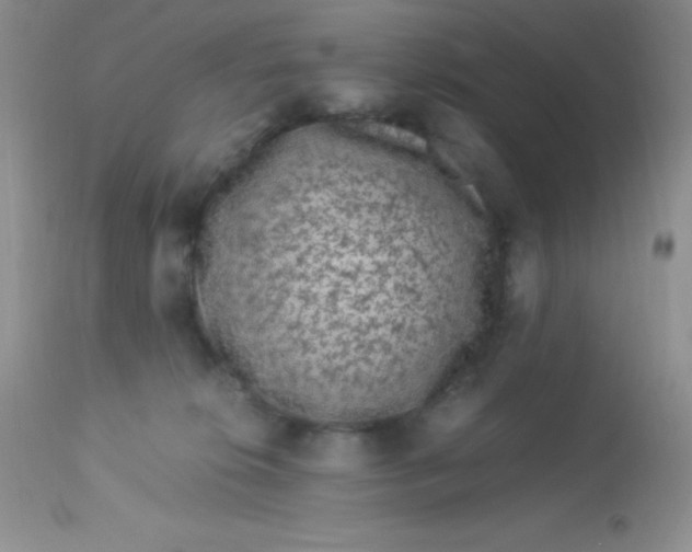 X0000112900276200909181943