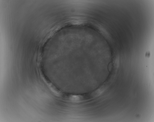X0000112900277200909181943