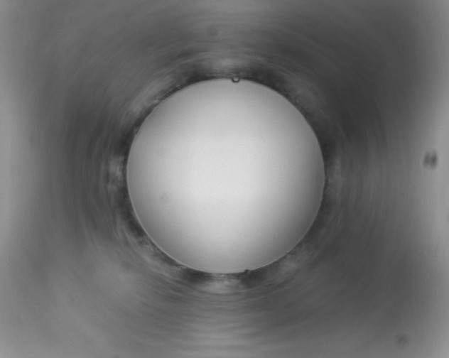 X0000112900278200909181943