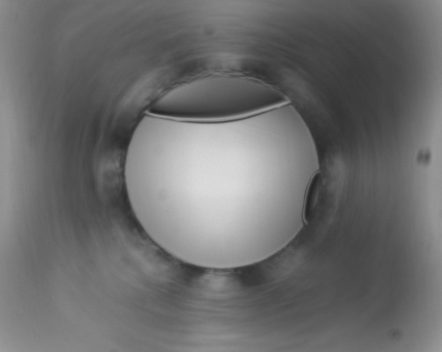 X0000112900280200909181943