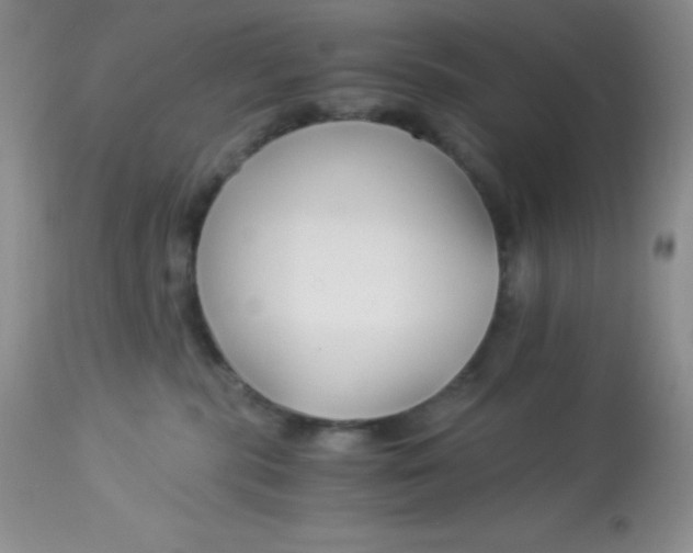 X0000112900283200909181943