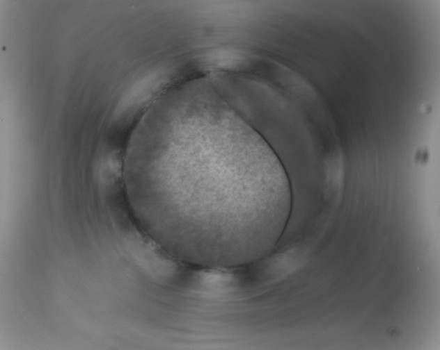 X0000112900284200909181943