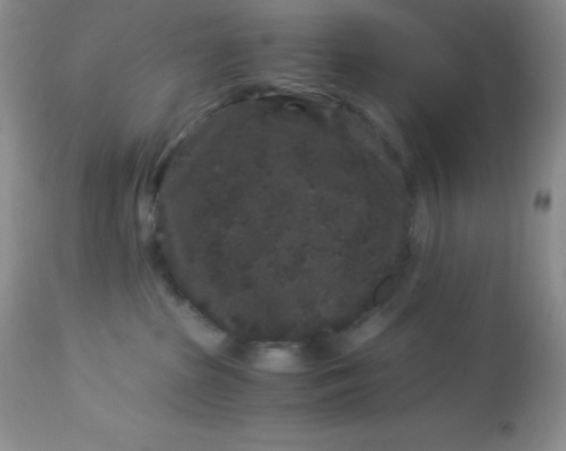 X0000112900285200909181943