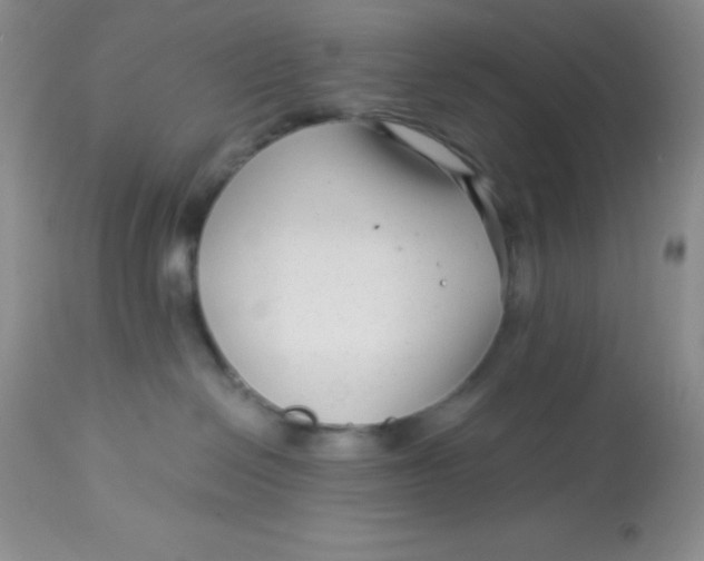 X0000112900286200909181943