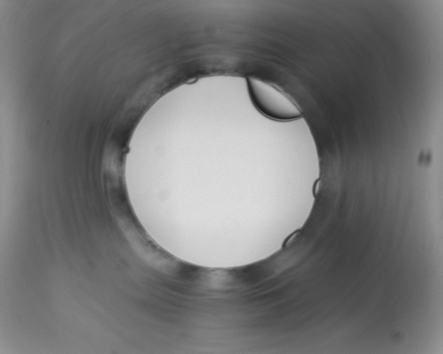 X0000112900287200909181943