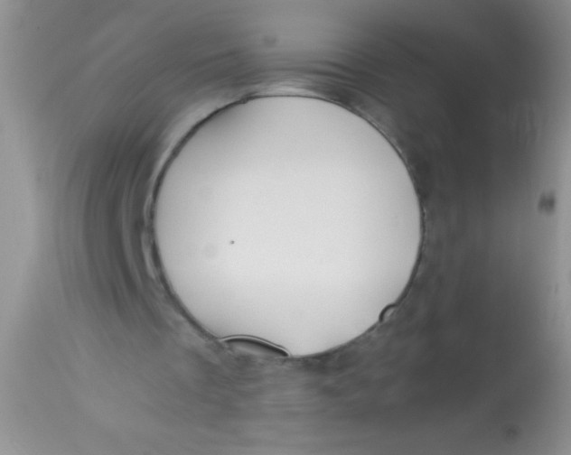 X0000112900289200909181942