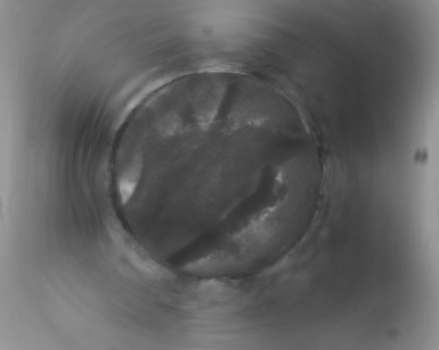 X0000112900290200909181942