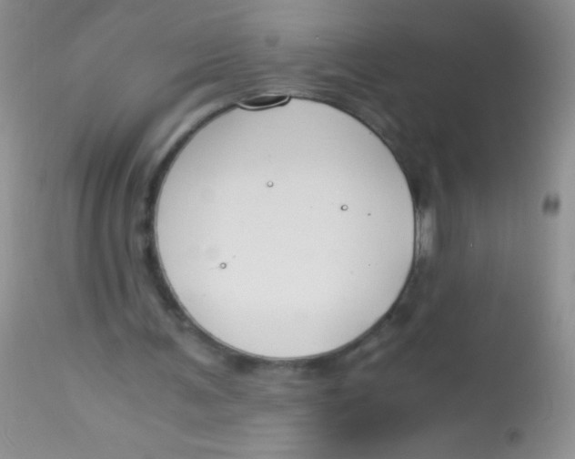 X0000112900291200909181942