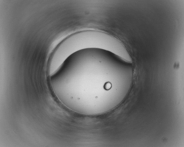 X0000112900292200909181942