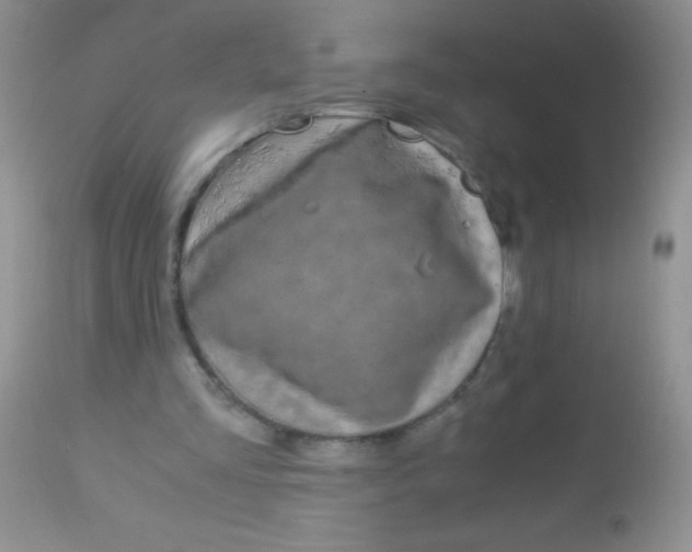 X0000112900293200909181942