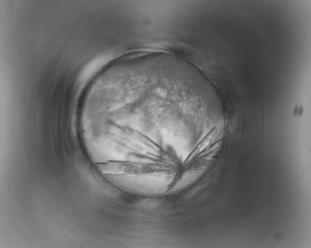 X0000112900294200909181942