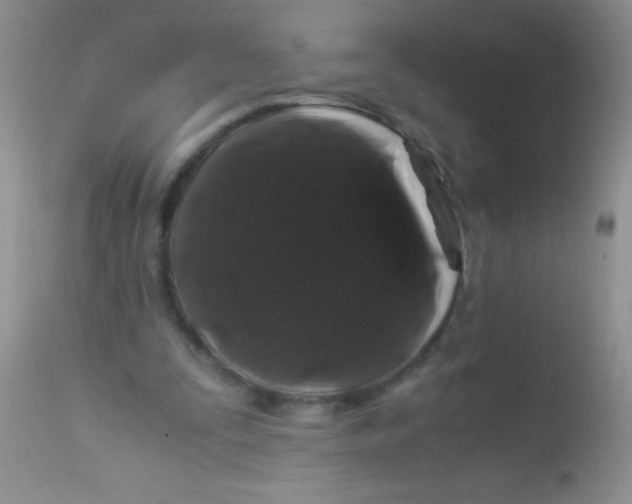 X0000112900295200909181942