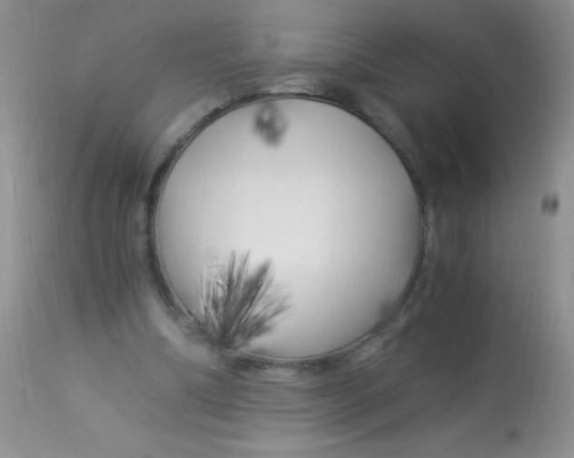 X0000112900298200909181942