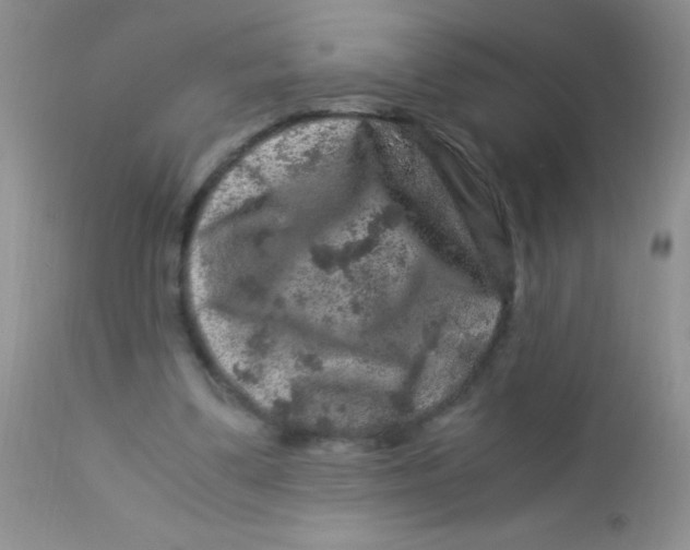 X0000112900299200909181942