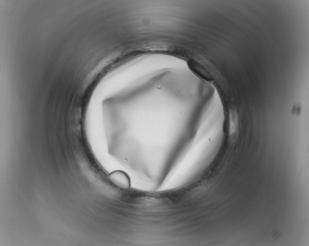 X0000112900300200909181942