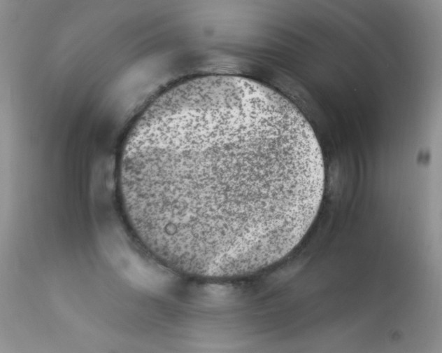 X0000112900302200909181942