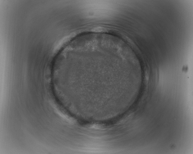 X0000112900303200909181942