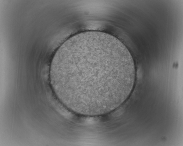 X0000112900305200909181942