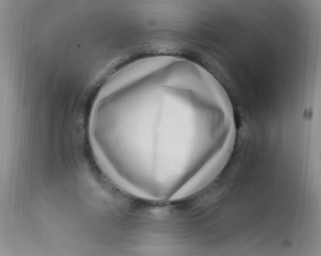 X0000112900306200909181942