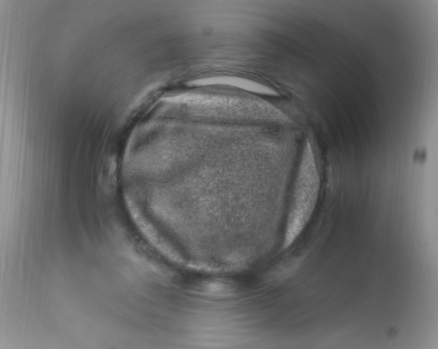 X0000112900308200909181942