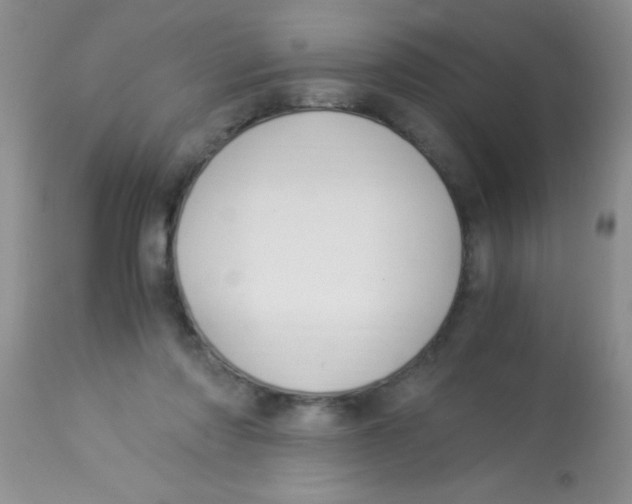 X0000112900310200909181942