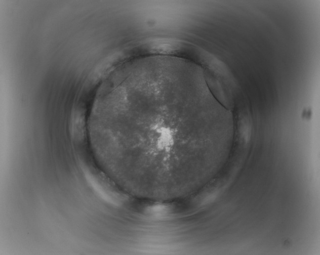 X0000112900312200909181942