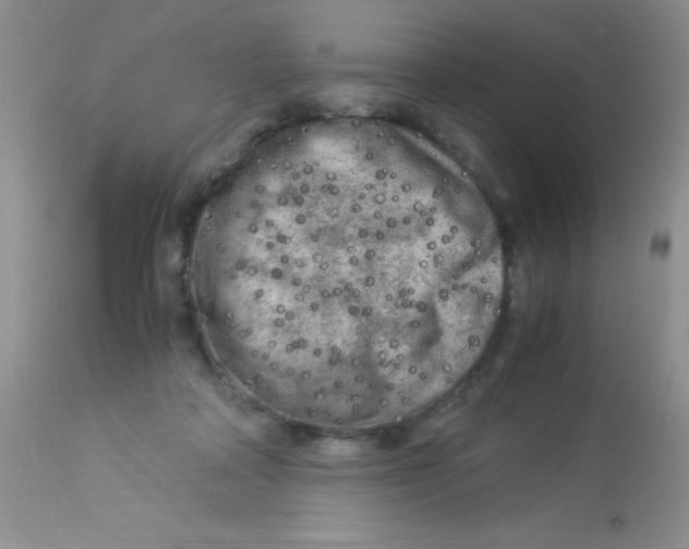 X0000112900314200909181942