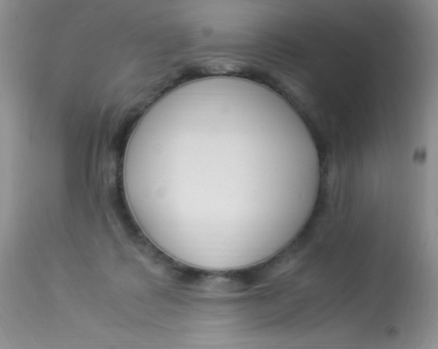 X0000112900315200909181942