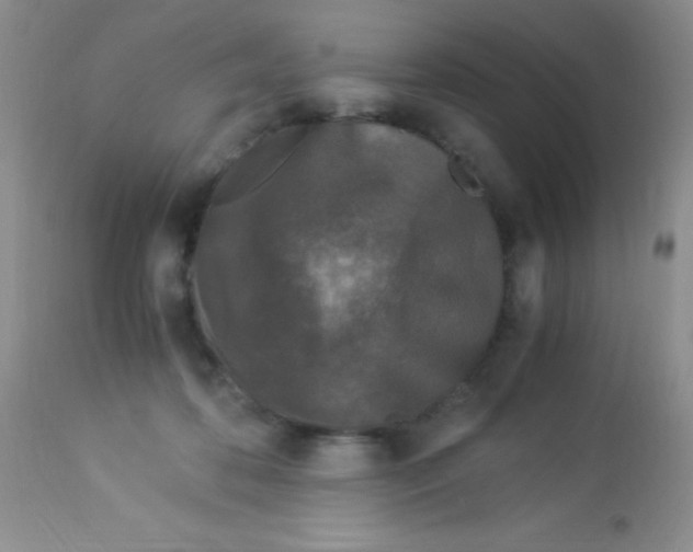 X0000112900316200909181942