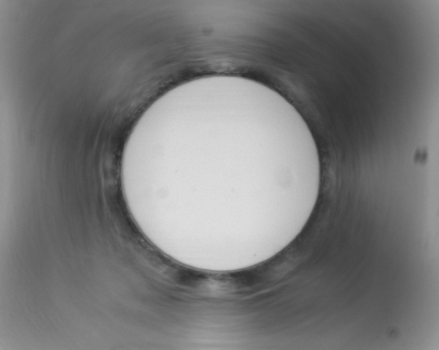 X0000112900317200909181942