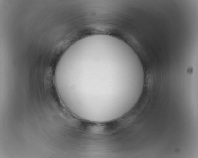 X0000112900318200909181942