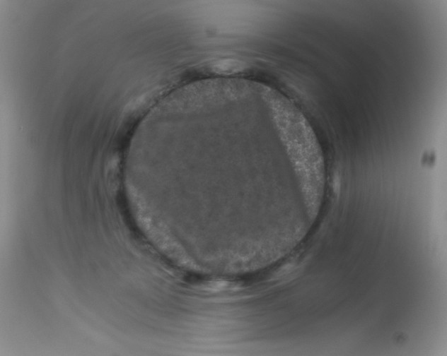 X0000112900319200909181942