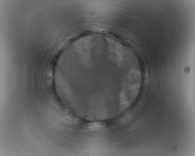 X0000112900320200909181942