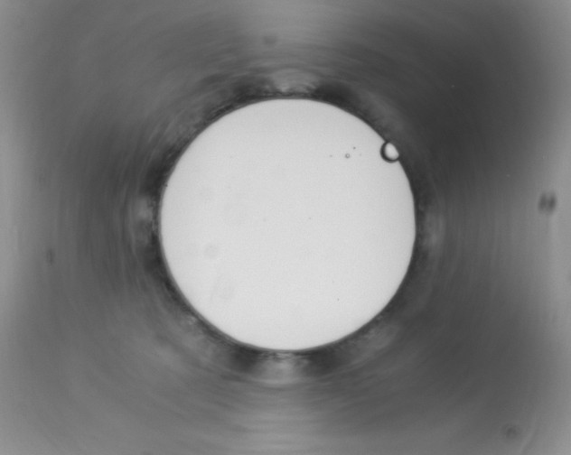 X0000112900321200909181942