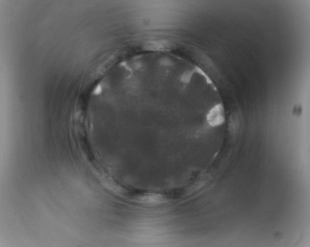 X0000112900322200909181942