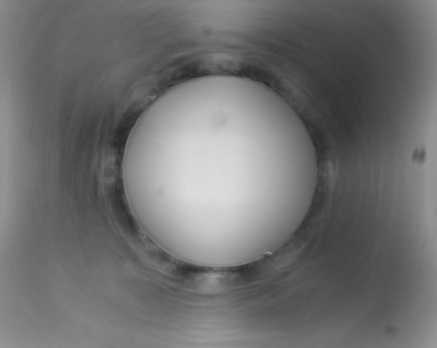 X0000112900323200909181942