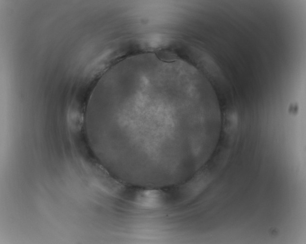 X0000112900324200909181942