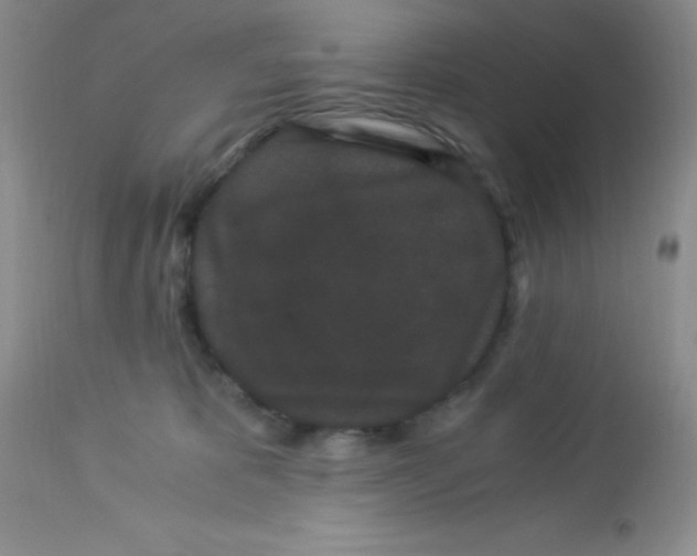 X0000112900325200909181942