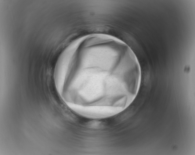 X0000112900326200909181941