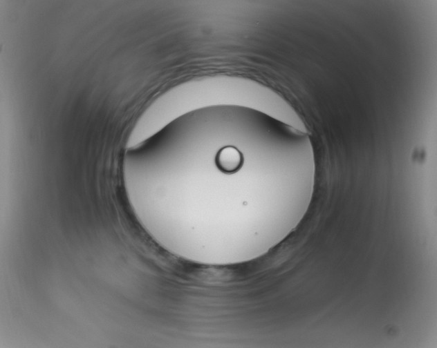 X0000112900328200909181941